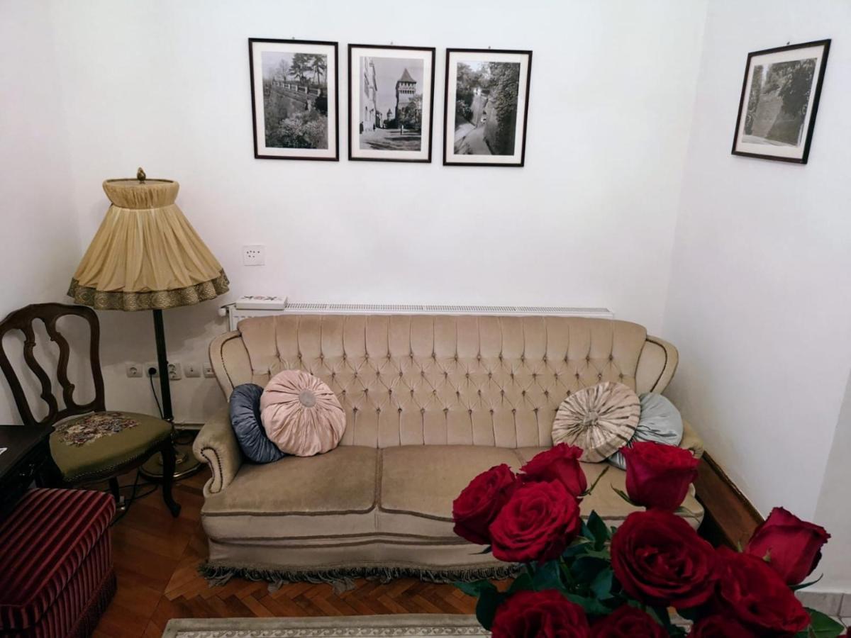 シビウCasa Generaluluiアパートメント エクステリア 写真